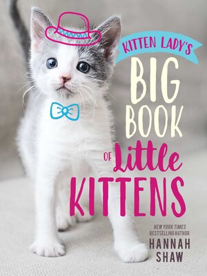 cover image of Kitten Lady's Big Book of Little Kittens